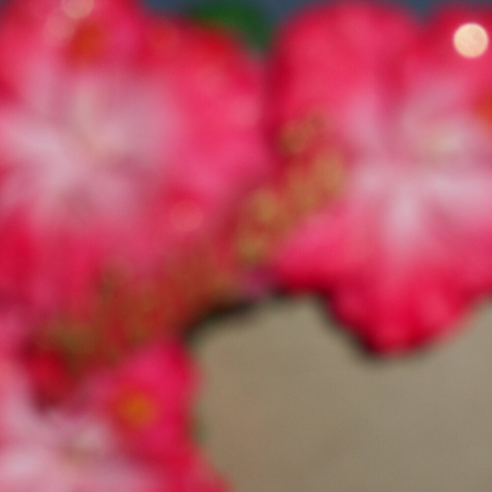 2 Decorative Picture Frames with Flowers - Picture 5 of 5
